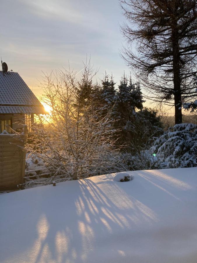 Ferienhaus Sauerlandtraum Winterberg Exterior photo
